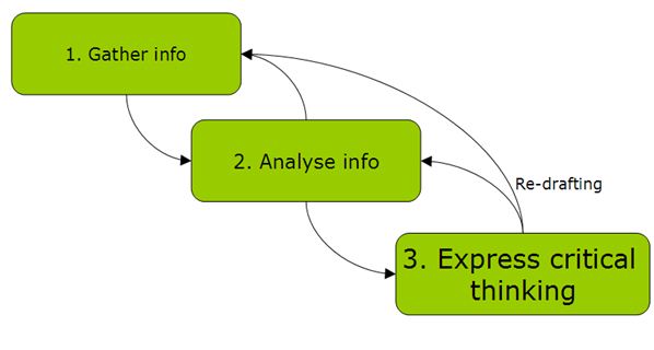 Critical Thinking or Critical Expression? Meeting Students’ Critical ...